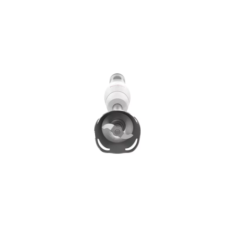 Kontrolsat - Moulinex Wand DD-451110 - 450W Steel