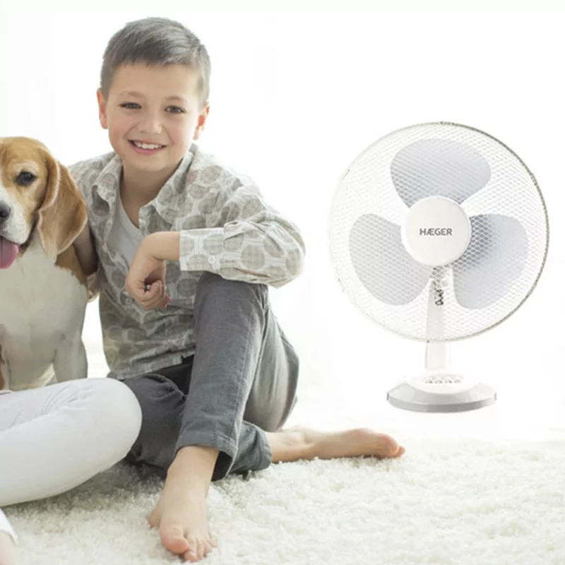 Kontrolsat - Ventoinha de Mesa Haeger - Table Wind - 45W - 40cm - FA-016.007A