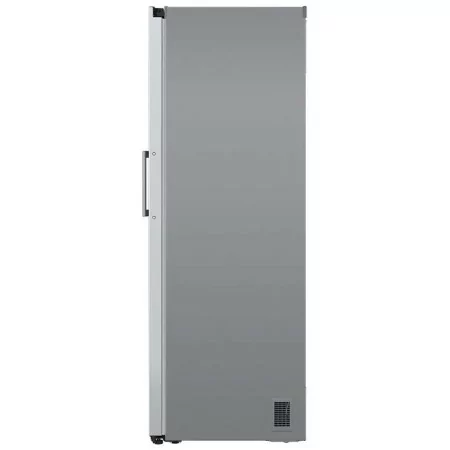1 Door Fridge LG GLE51PZGSZ - 386L - No Frost