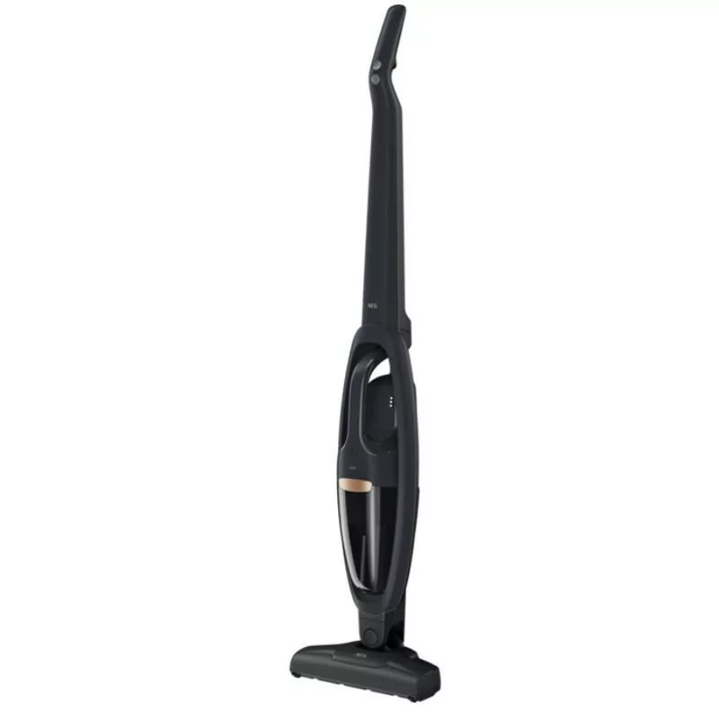 AEG Upright Vacuum - Rechargeable - 45 Minutes Autonomy - QX6-1-42GG