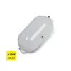 Oval Outdoor LED Wall Light 9W - IP65 - 4000k
