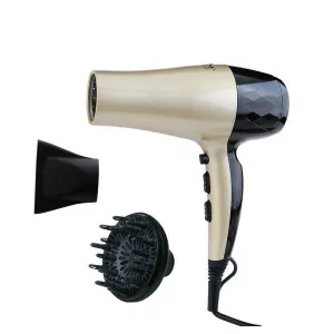 EDM Golden Black Hair Dryer...