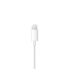 Auriculares Apple - Conector Lighting - MMTN2ZM/A|Apple|0190198001733
