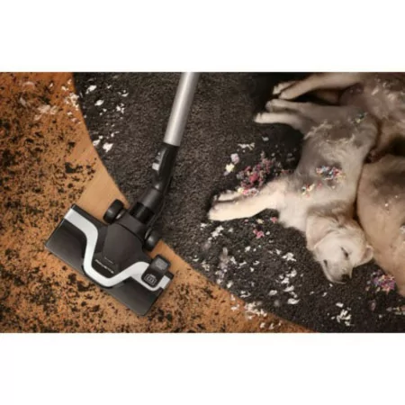 Rowenta Silence Force Cyclonic Vacuum Cleaner - Animal Care - (Bagless - 2.5L - 550W - 67dB) - RO7961EA