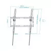 TooQ Wall Mount - 32" - 70" - Black - LP1071T-B