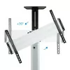 Suporte de Chão TooQ - 1 Ecrã - 37" / 70" - Inclinável / Giratório - FS1870M-B|TooQ|8433281007444
