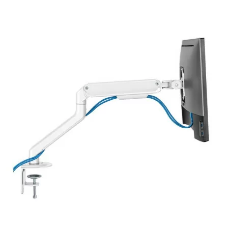Suporte de Mesa TooQ - 1 Ecrã - 17" / 32" - Branco - DB4032TNR-W|TooQ|8433281010673