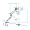 Suporte de Mesa TooQ - 1 Ecrã - 17" / 32" - Branco - DB4032TNR-W|TooQ|8433281010673
