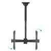 TooQ Extendable Ceiling Mount - 1 Screen - 37" / 70" - Black - LPCE1170TSLI-B