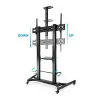 Suporte de Chão Ajustável TooQ - Zeus - C/ Rodas - 60" / 100" - Preto - FS20400HM-B|TooQ|8433281012233