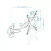 TooQ Wall Mount - For Screens - 23" / 55" - Black - LP2355TN-B