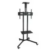 Suporte de Chão TooQ - C/ Rodas - P/ Ecrãs - 37" / 70" - Preto - FS1470M-B|TooQ|8433281008229