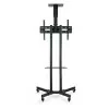 Suporte de Chão TooQ - C/ Rodas - P/ Ecrãs - 37" / 70" - Preto - FS1470M-B|TooQ|8433281008229
