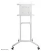 Suporte de Chão Neomounts - P/ Ecrãs - 37" / 70" - Branco - NS-M1250WHITE||8717371448073