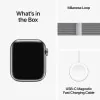 Apple Watch Series 9 GPS + Cellular Aço Inoxidável Prateado | Bracelete Loop Milanesa Prateado (41mm)|Apple|0195949023064