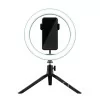 Trust 2 in 1 Streaming Kit - Luminous Ring + Green Screen - 24881