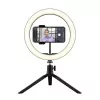 Trust 2 in 1 Streaming Kit - Luminous Ring + Green Screen - 24881