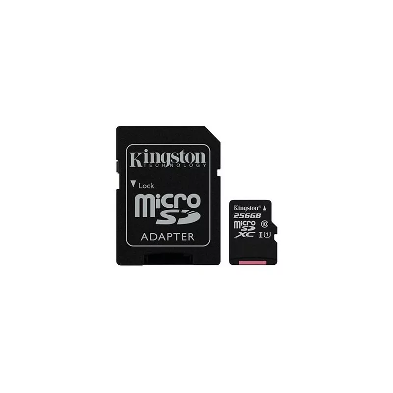 Kingston MicroSD Card - 256GB + SD Adapter - SDCS2/256GB Kingston MicroSD Card - 256GB + SD Adapter - SDCS2/256GB