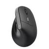 Rato Trust TM-270 Ergonómico - 2400 DPI - Wireless|Trust|8713439253719