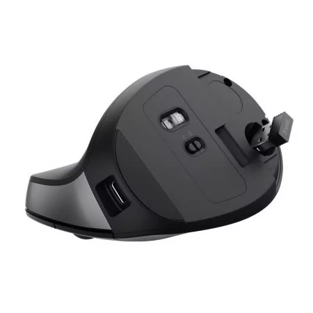 Trust TM-270 Ergonomic Mouse - 2400 DPI - Wireless