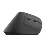 Rato Trust Bayo+ Ergonómico - 2400 DPI - Wireless|Trust|8713439251463