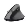 Rato Trust Bayo+ Ergonómico - 2400 DPI - Wireless|Trust|8713439251463