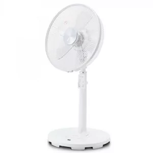Standing fan grunkel...