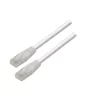 Cabo de Rede UTP Cat6 RJ45 0,5M Branco U/UTP/AWG24 A135-0249||8657470248411