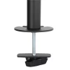 Napofix Desk Stand - 13" to 32" - DM1100