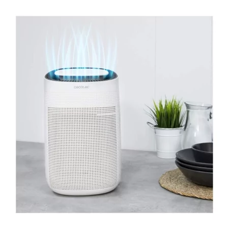 CECOTEC Big Dry 2500 Pure Light dehumidifier (25 m2 - 750 ml - 0.75 L/day)