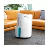 Desumidificador CECOTEC Big Dry 9000 Pro (4.5 L)