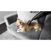 Mini Aspirador Cecotec - Conga Immortal Extremesuction 22,2 Animal Hand