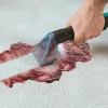Aspirador de Estofos Cecotec - Conga 5000 CarpetSpot Clean XXL