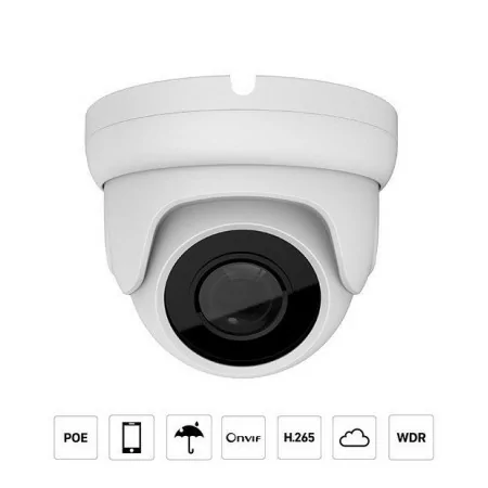 IP Camera D20M210 POE - 2MP