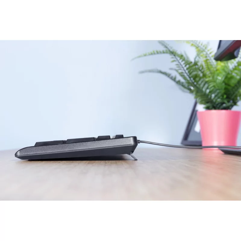 Kontrolsat - Kit Teclado & Rato Trust - C/ Fios - USB - Preto - 23970