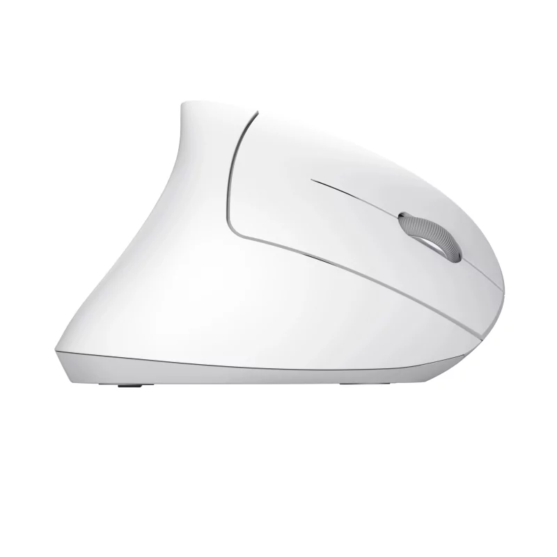 Kontrolsat - 