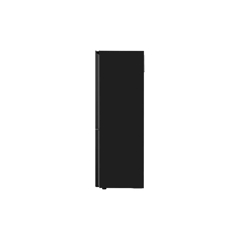 Kontrolsat - LG GBV5150DEP Fridge Freezer (344L - Class D - Matte Black)