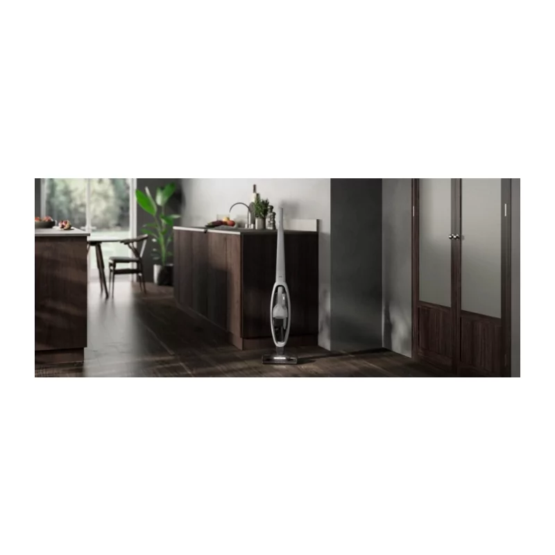 Kontrolsat - AEG - Vertical Vacuum Cleaner AS52AB21UG