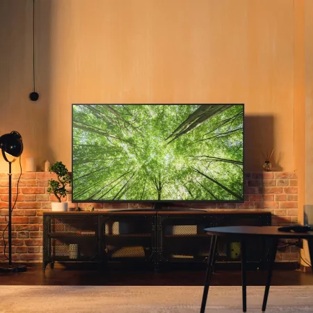 Kontrolsat - LG - NanoCell AI Smart TV 4K 65NANO81A6A.AEU Kontrolsat - LG - NanoCell AI Smart TV 4K 65NANO81A6A.AEU