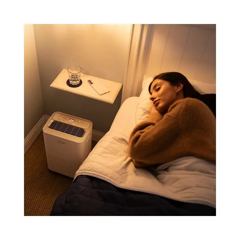 Kontrolsat - Dehumidifier Cecotec BigDry 8000 Expert (16 L/day - 2L Tank - Wi-Fi Connected)