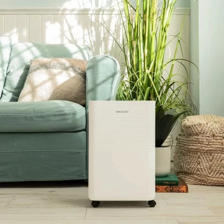 Kontrolsat - Desumidificador Cecotec BigDry 8000 Expert (16 L/dia - Depósito 2L - Wi-Fi Connected) Kontrolsat - Desumidificador Cecotec BigDry 8000 Expert (16 L/dia - Depósito 2L - Wi-Fi Connected)